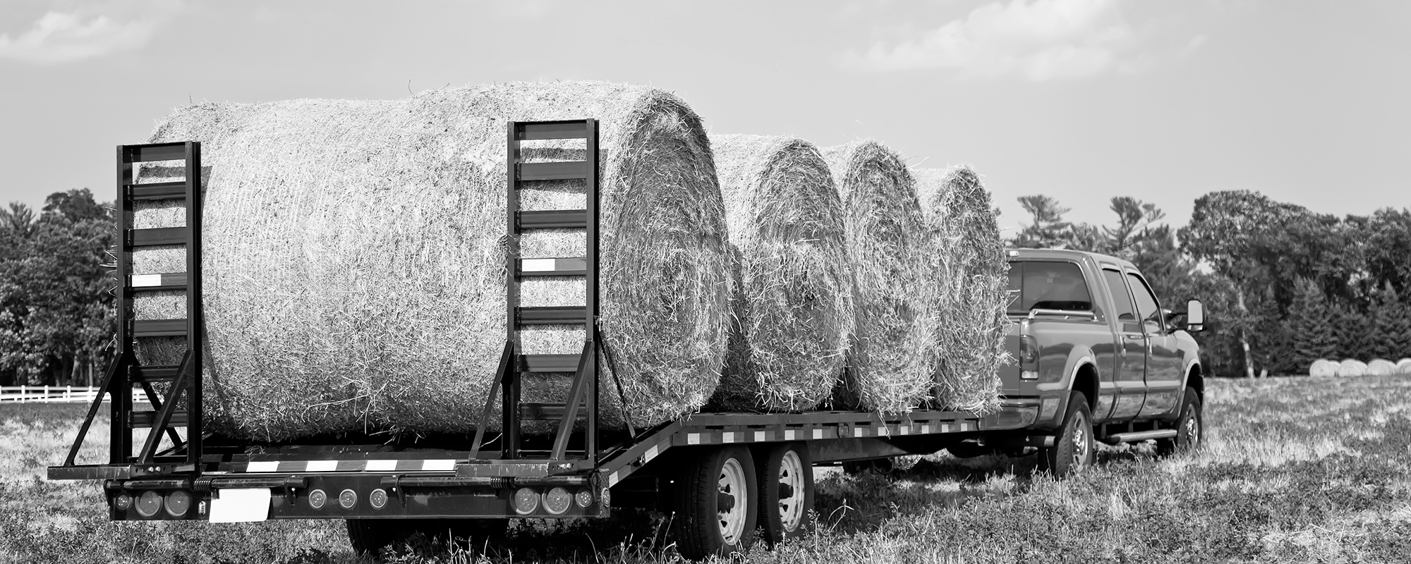Home NWA Hay & Straw Sales Lincoln, AR We are a family ran operation that sells hay and