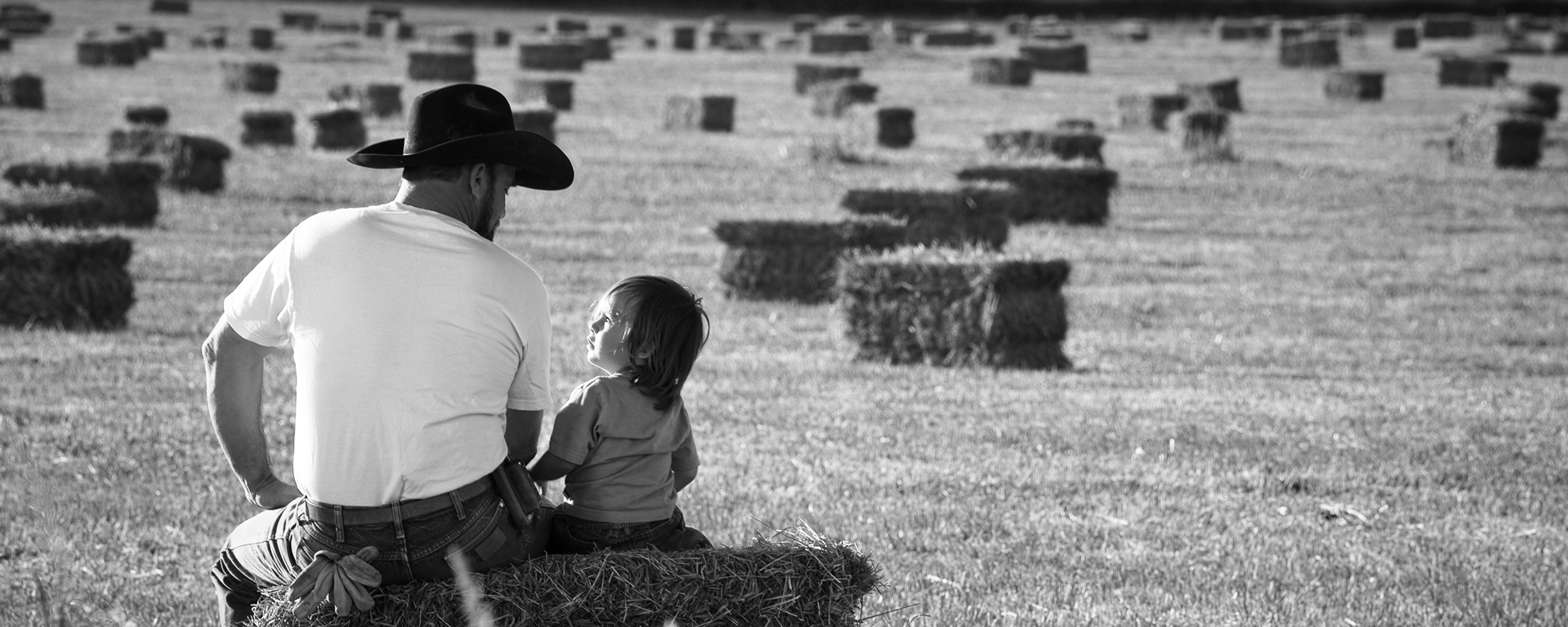 Home NWA Hay & Straw Sales Lincoln, AR We are a family ran
